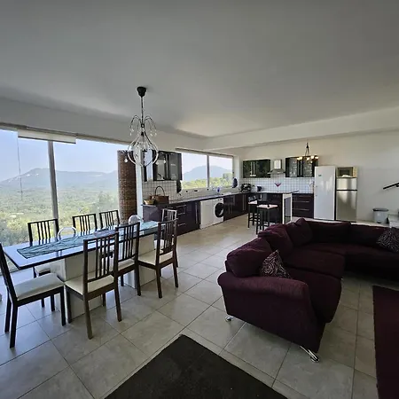 Olive * Episkopiana (Corfu)